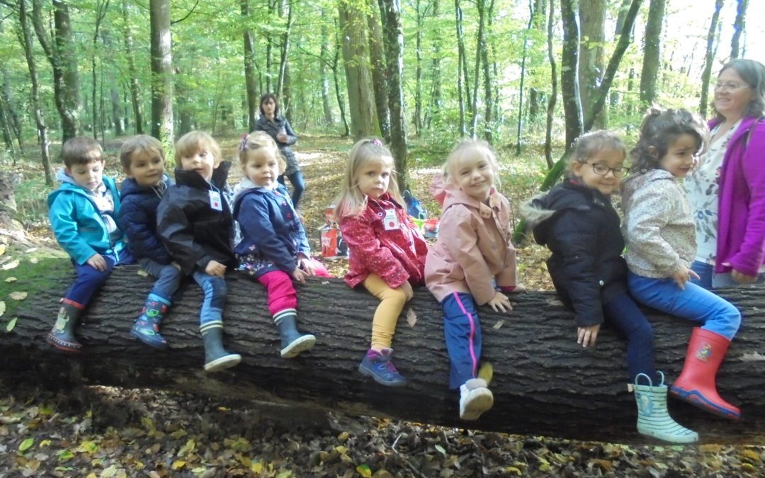 La classe de Mme Prévot en balade dans la forêt de Bellebranche