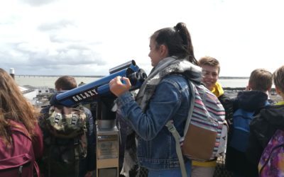 Les 4e en visite à Saint Nazaire