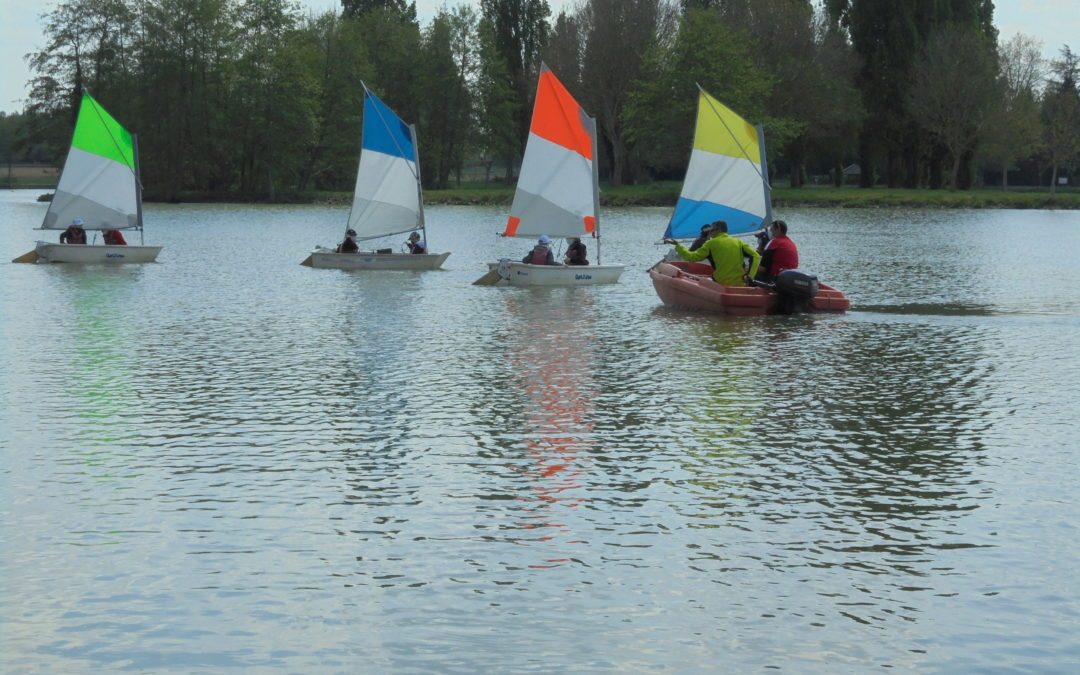 Voile et disc golf