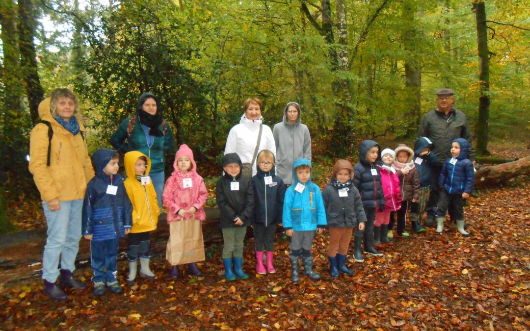 Sortie à la forêt de Bellebranche