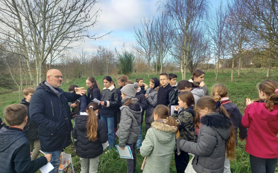 Les classes de 6e et le CVC en séance sur la biodiversité